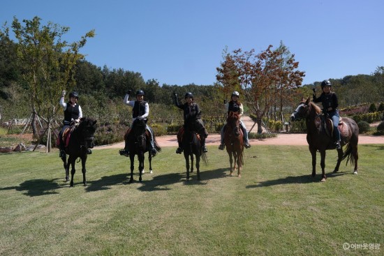 영광 승마장 다양한 승마체험 프로그램 운영 2.JPG