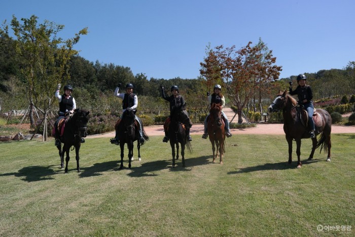 영광 승마장 다양한 승마체험 프로그램 운영 2.JPG