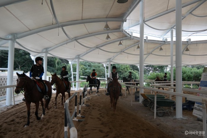영광 승마장 다양한 승마체험 프로그램 운영 3.jpg