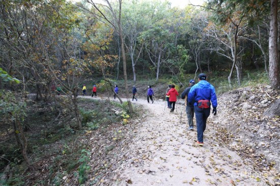 걷기 도시 영광군에 살며 보험료 할인받자! 1.jpg