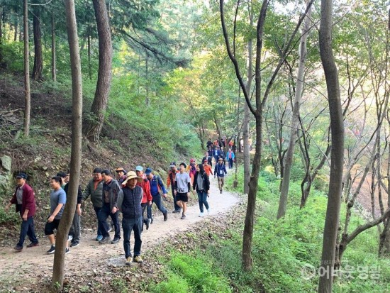 걷기 도시 영광군에 살며 보험료 할인받자! 3.jpg