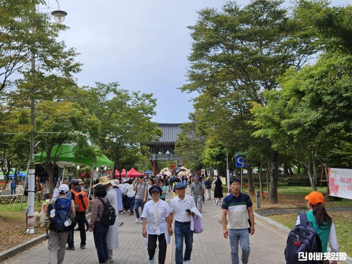 3.사진자료(제23회 영광불갑산상사화축제 성황리에 마무리) (2)[크기변환].jpg