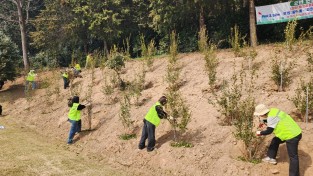 7.보도자료 사진(영광군 여성경제인협회 식목일 행사 참여 사진).jpeg