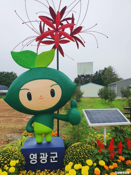 5.사진(영광군, 2026년 상사화 모시 연구 고도화 추진)1.jpg