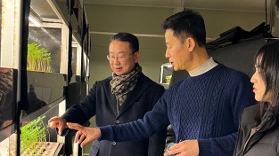 2.사진(영광군에서 키운 ‘새싹인삼’ 일본 수출 본격적으로 추진).jpg