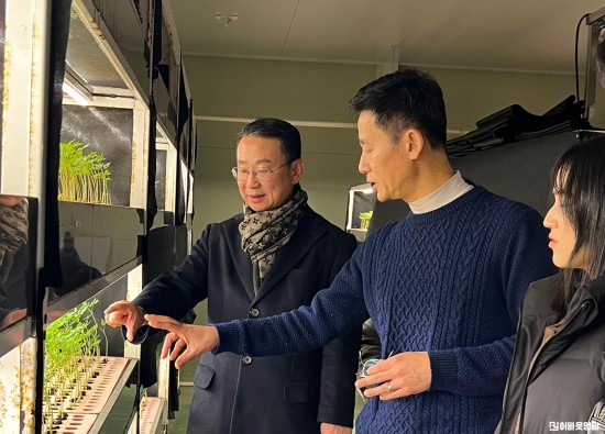 2.사진(영광군에서 키운 ‘새싹인삼’ 일본 수출 본격적으로 추진).jpg