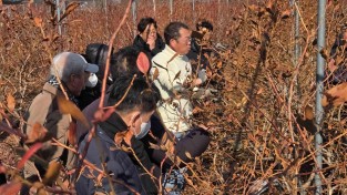 2.사진(영광군, 블루베리 전지전정 현장교육 실시)1.jpg