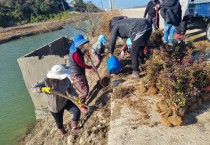 염산면, 쓰레기 상습 투기지역에 철쭉 300주 식재