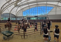 영광군승마장, 합리적 가격의 쿠폰제 회원 운영