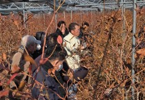 영광군, 블루베리 전지·전정 현장교육 실시