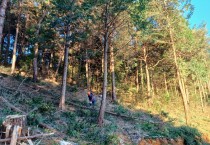 영광군, 연흥사·내산서원에 산불안전공간 조성