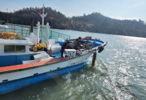 영광군, 안마도 해역에 전복 종자 4만 마리 방류…연안 수산자원 회복 박차