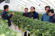 영광군 김준성 군수, 농업현장 방문 농업인 격려