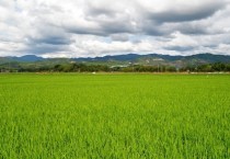 농지보전부담금 감면 내역 공개