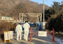 영광 양돈농장 ASF 확진…전국 48시간 ‘스탠드스틸’ 비상