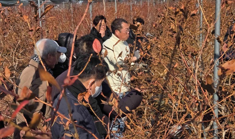 15 Killer True Crime Documentaries to Stream