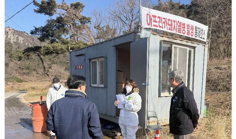 15 Killer True Crime Documentaries to Stream